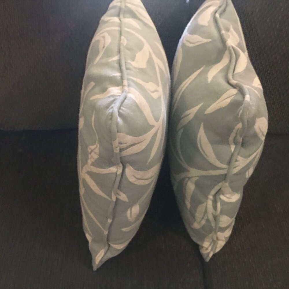 Throw Pillows (2)